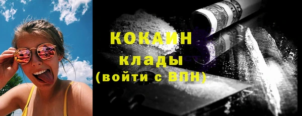 прущие грибы Алзамай