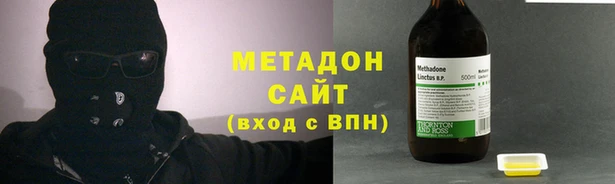 прущие грибы Алзамай